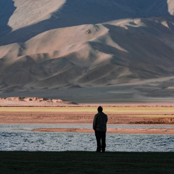 milind-bedwa-S-WYIlJA0wY-unsplash milind-bedwa-S-WYIlJA0wY-unsplash